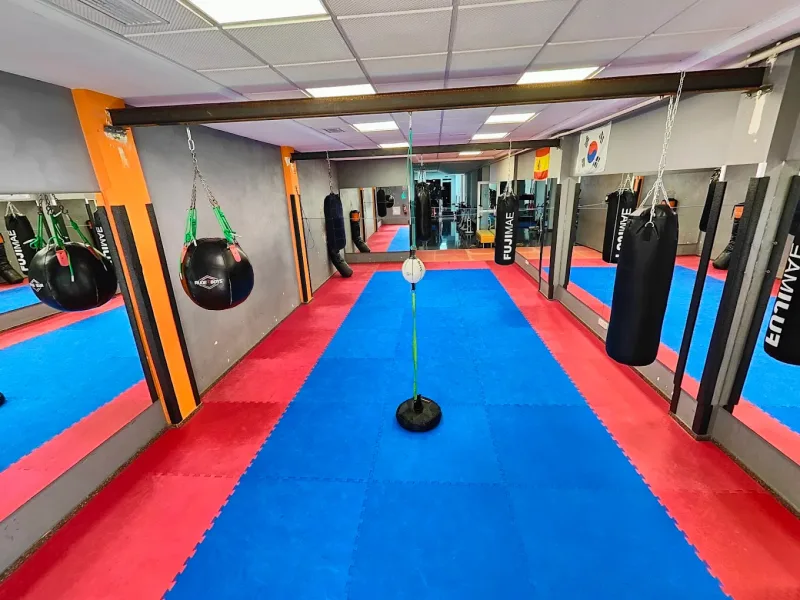 The training area at Fitness Fabra Gym in Valencia