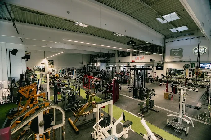 Das Gym at Handelskai in Vienna